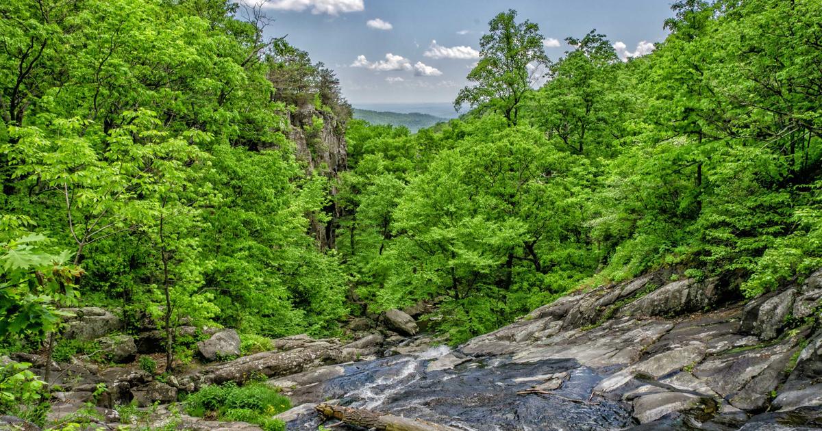 2026年春季择校指南：以电子商务为例，为孩子规划一条有前景的中职升学路