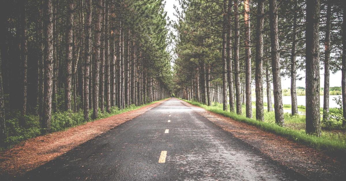 初中毕业，升学与就业如何兼顾？新乡市信息科技学校2026年招生详解双通道规划