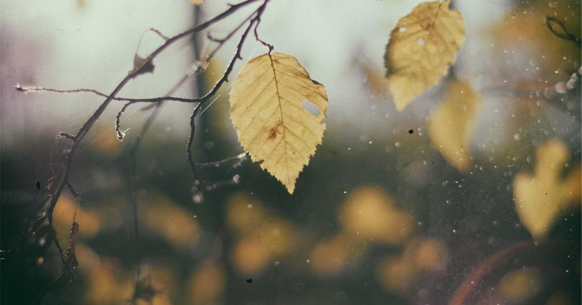 美发与形象设计