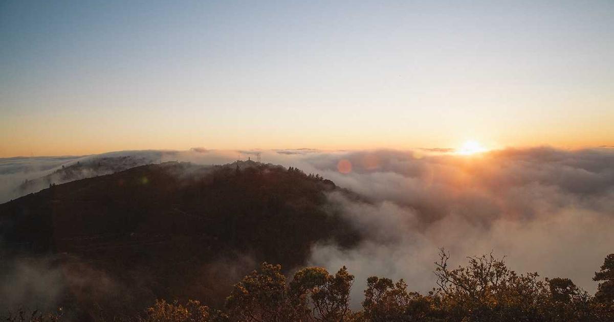 宠物养护与经营