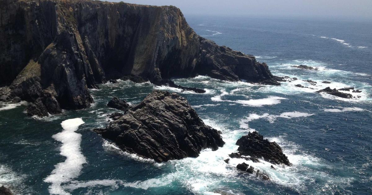 从爱心到专业，成就未来：2026年宠物养护专业升学路径全解析