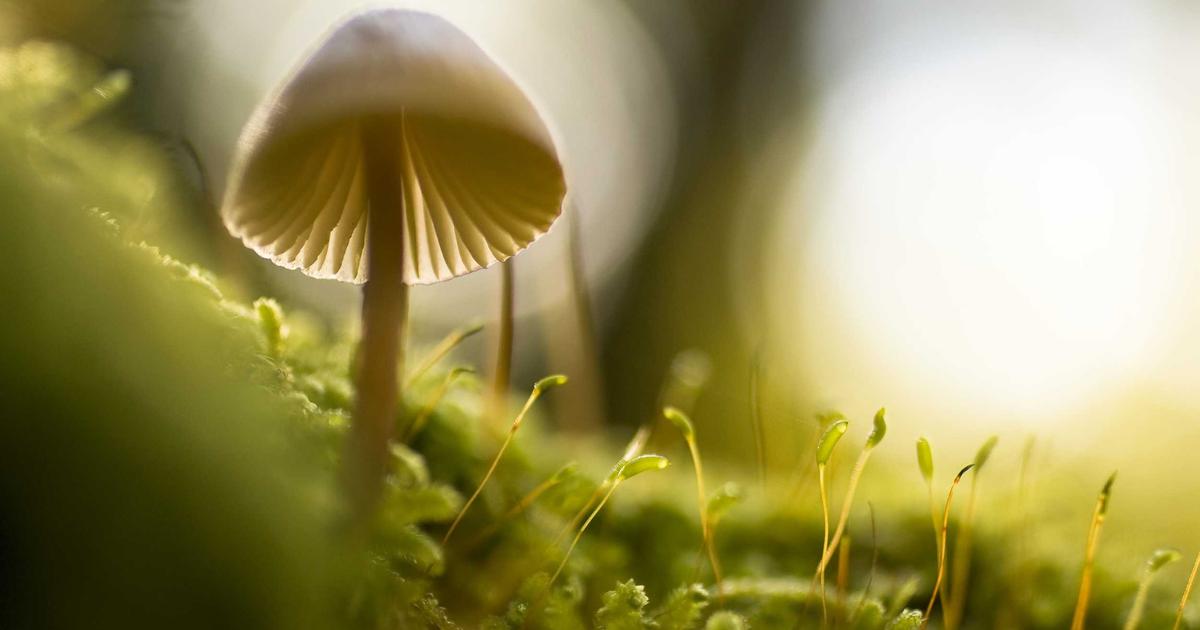 新乡信息科技中专如何用三年计算机实训课，帮零基础孩子逆袭信息技术类对口本科？